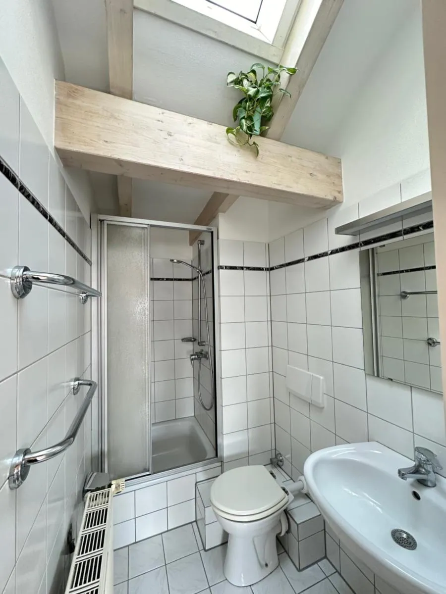 Image 1 of Cozy loft with a view, central, close to tradefair