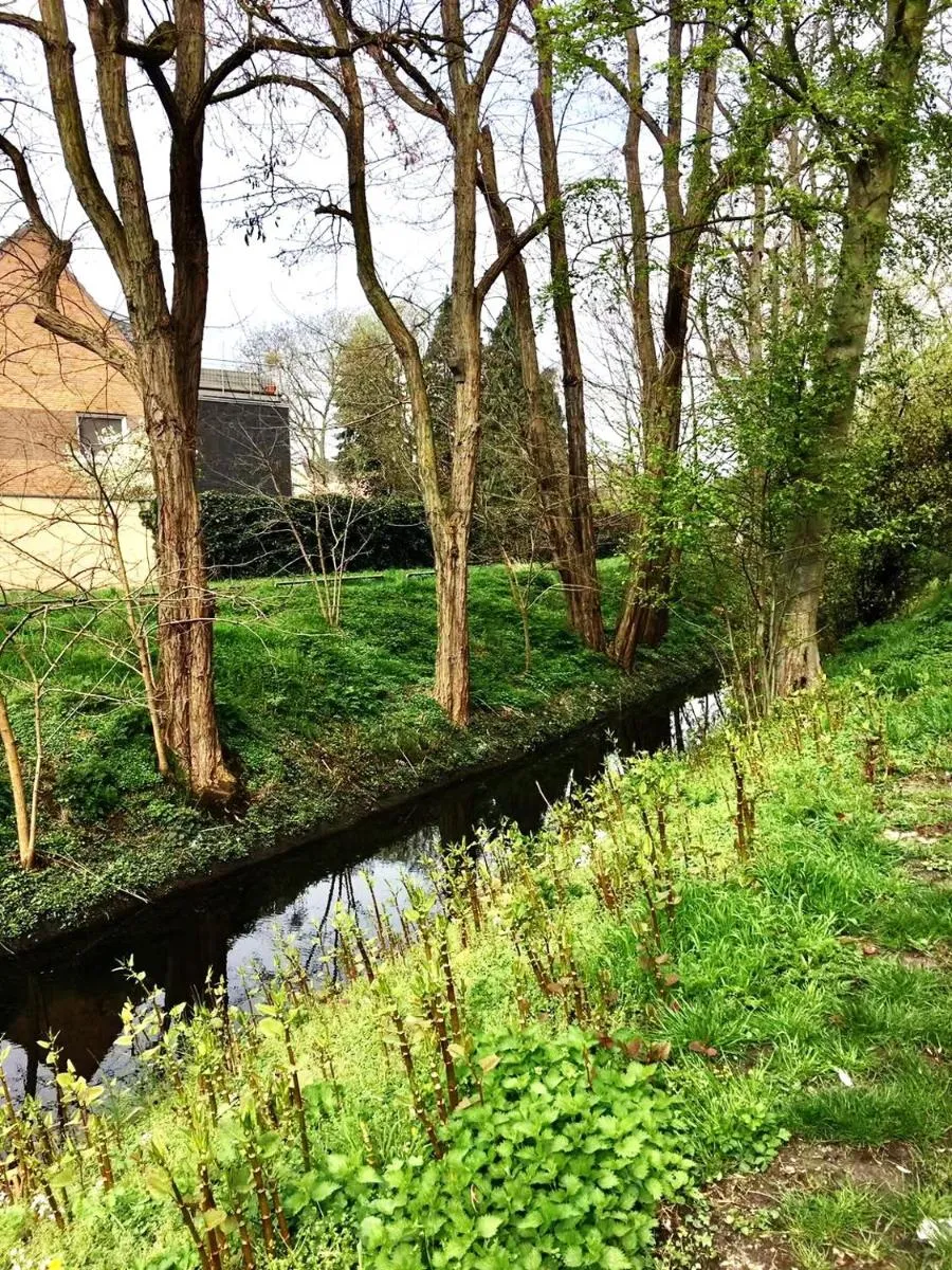 Image 5 of Düsseldorf Messe, 2-bedroom Duplex Apartment with Terrace and Garden