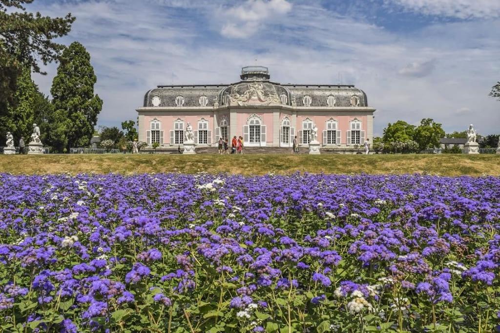Image of Gemütliche Ferienwohnung nähe Schloss Benrath & Rhein Düsseldorf Urdenbach