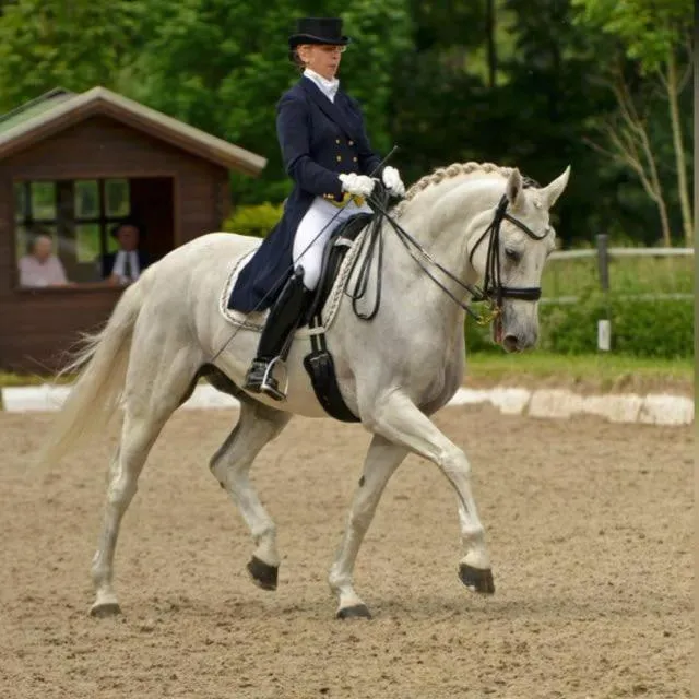 Image 5 of Hotel Gut Moschenhof