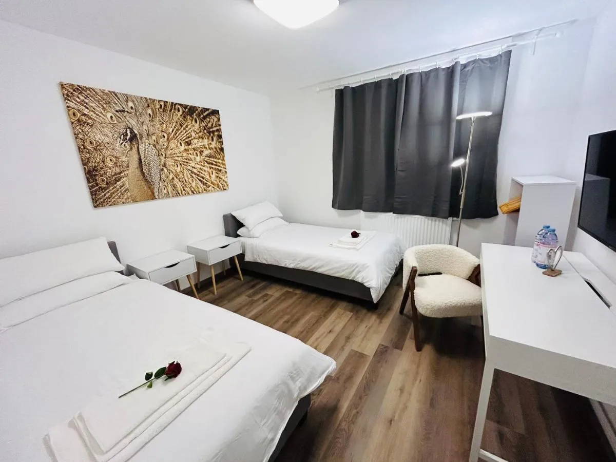 Image 5 of Messe HV-1