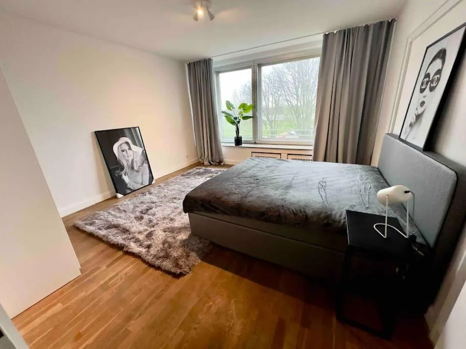 Image 1 of Spectecular Rhineview Fair Parking Luxury 12 Pers