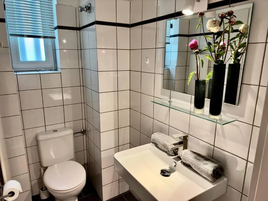 Image 6 of Spectecular Rhineview Fair Parking Luxury 12 Pers