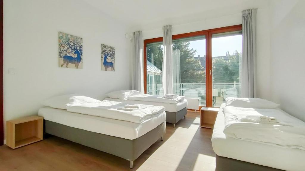 Image of Tolstov Apartments – City Apartments with 2 , 3 and 6 Rooms – 15 Min to Messe DUS and Old Town DUS